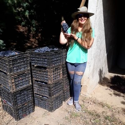 JeannettePaz4's profile picture. me gusta la musica