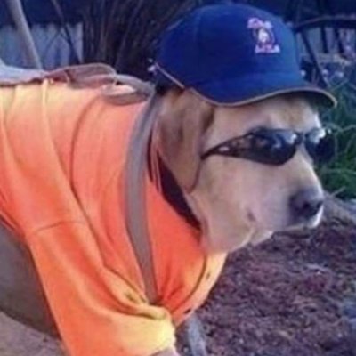 aworkingdog's profile picture. xd funny toxic social media