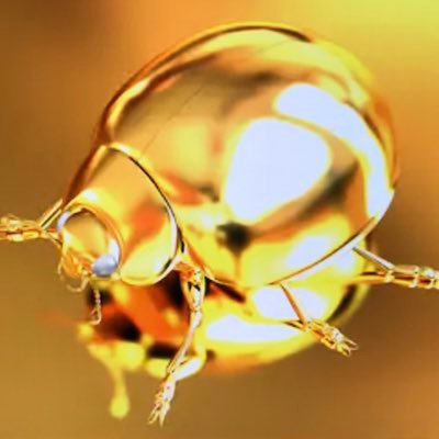 lasseters_reef's profile picture. 