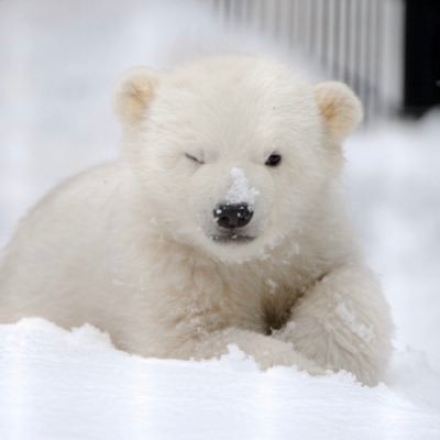 ExStars1's profile picture. 