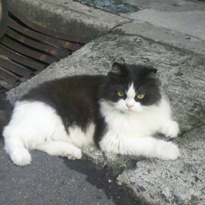 158SIIBweJqZKHd's profile picture. 自由自在