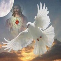 MarcosMilano71@gmail.com (@marcosemilano) 's Twitter Profile Photo
