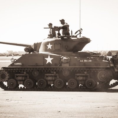 Victry4Liberty's profile picture. America.