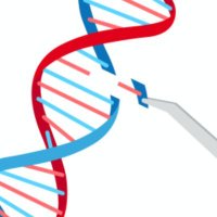 Dixon Lab | UoN (@dixonlabnotts) 's Twitter Profile