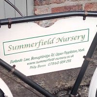 summerfield-nursery(@SummerfieldN) 's Twitter Profile Photo