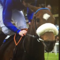 williemccreeryracing (@williemccreery1) 's Twitter Profile