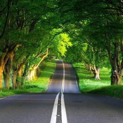 salmonjose89's profile picture. 