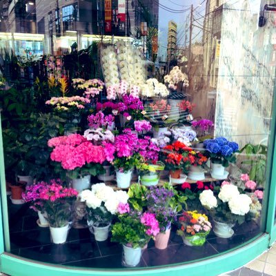 東京都荒川区荒川6-6-1 ウエストヒル町屋 Tel 03-3892-8257 町屋の駅前で花屋さんやってます。よろしくお願いします(^_^)