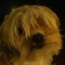 Isabel Silver - @i_love_blake234 - Twitter