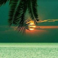 Ritesh sagar (@rsriteshsagar) 's Twitter Profile