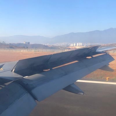 steward74677180's profile picture. 