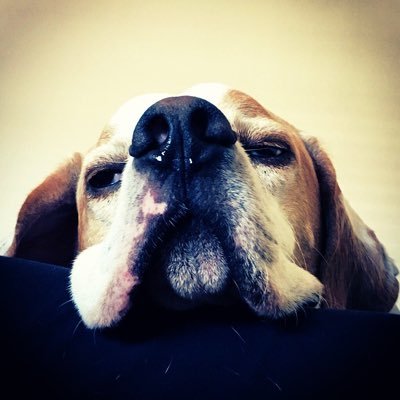 “Il compito degli uomini della Resistenza non è finito. Bisogna che essa sia ancora in piedi.”