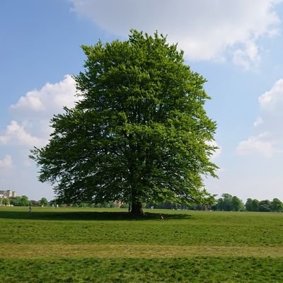 Try finding me on bluesky. Clinical Research Fellow investigating dynamics of hormones and metabolism. Developing and promoting U-RHYTHM sampling technology.
