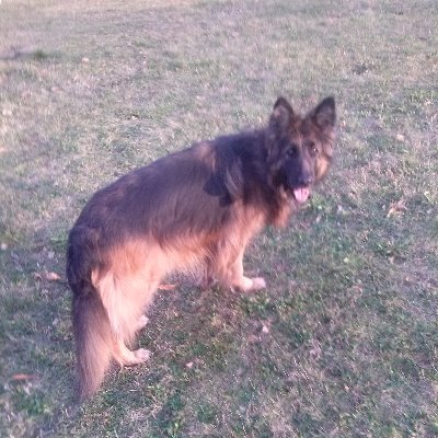 SzyszkaAndrzej's profile picture. Nie bawię się w politykę ale podyskutować tak.