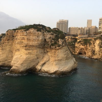 Am37379852Roy's profile picture. 