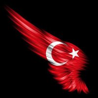 Tarafsiz_AK(@Tarafsiz_AK) 's Twitter Profile Photo