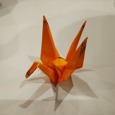 一ノ瀬さんのプロフィール画像