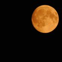 Bruce (BORN In The USA) Beckman - @BornBeckman - Twitter