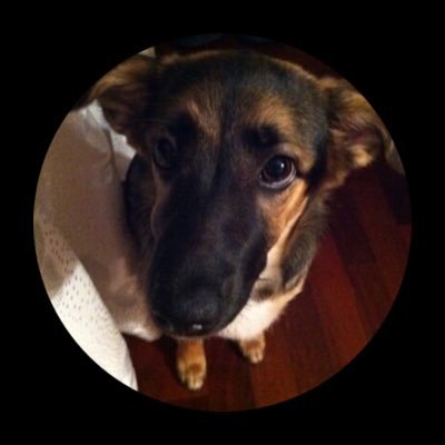 Filippo85799985's profile picture. 