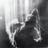 wide_america's profile picture. @u2 🎤E você sabe que é tempo de ir 
Pela chuvosa e dirigível  neve 
Pelos campos de manhã para uma 
Luz na distância   #u2fangirl #u2TJT2019  #u2  #amoru2