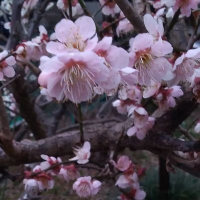 go_hirarii's profile picture. 芸能人平田梨奈（ひらりー）さんのファン。自転車乗り。2016年7月16日のAKB48「僕の太陽」公演平田梨奈生誕祭は至高。
共感したら即RT。良くないことには♡は押さない。ツイ消し常習。フォローなどはご自由に。