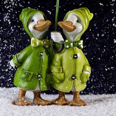 frankli18119139's profile picture. Bull