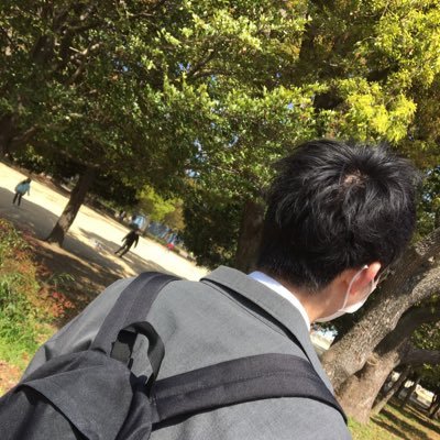 miraibrazil's profile picture. 