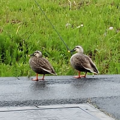 サザン！大好きです❤