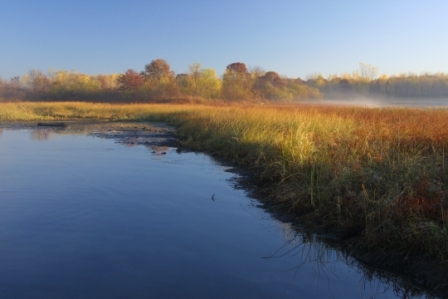Springbrook_NCF's profile picture. A uniquely diverse natural area: 127 acres of native prairies, oak and aspen forests, oak savannah, wetlands & wildlife. A jewel to be cherished and protected.