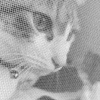 Jenny (@6325222y) Twitter profile photo