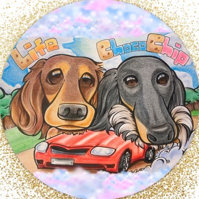 LifeChocoChipYT's profile picture. ミニチュアダックスの2匹の成長日記をYouTubeにてUPしています🎵是非チャンネル登録お願いします🐶💖 「相互フォロー１００％」 Instagramのフォローもお願いします❣️ 👇👇https://t.co/qZynyDVBub無言フォロー失礼します🐶🙌