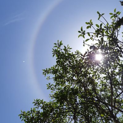 k_s_oxo's profile picture. 