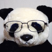 熊猫さん🐼🐷🐶🐻🐉🇵🇸(@xiongmao53) 's Twitter Profile Photo