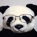 熊猫さん🐼🐷🐶🐻🐉🇵🇸 (@xiongmao53) Twitter profile photo