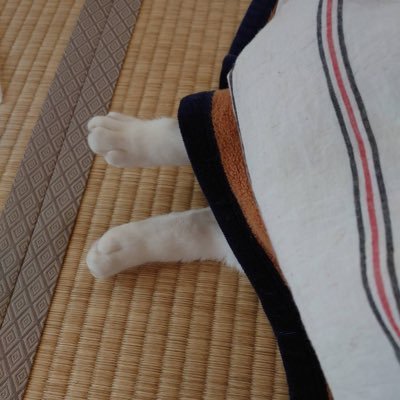 Gorilla9100's profile picture. 