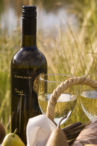 CapercaillieW's profile picture. Capercaillie Wine Company is a small, multi award winning winery in the Lovedale area of the Hunter Valley. 5 star James Halliday rating.