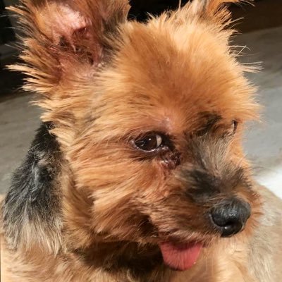 GRANGEREric3's profile picture. 🇫🇷 #FranceLibre