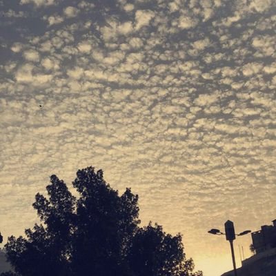 rahmac6's profile picture. SLALU bercanda