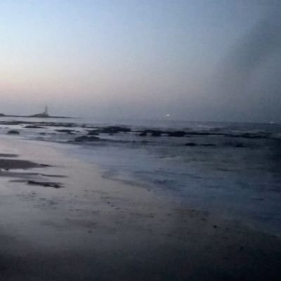 Geographer exploring more-than human landscapes: food, microbes & urban seas. Commonly found immersed in the achingly cold, wild and beautiful North Sea.