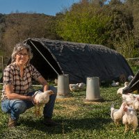 Planeses Agricultura Regenerativa (@planeses) 's Twitter Profile