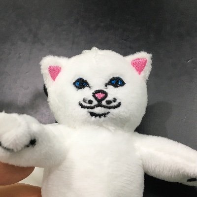 KXIY823eBZFbk3F's profile picture. 흐물흐물해서 출근 못 해요