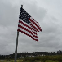 MataPiojos (@piojosmata) 's Twitter Profile