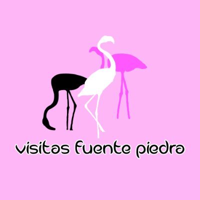 🦩 La Laguna de Fuente de Piedra es la más grande de Andalucía. Mayor colonia de flamenco rosa en la península. Realizamos visitas guiadas y otras actividades.