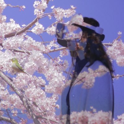 mina_sakamura's profile picture. 博士Ph.D. （Keio, SFC）▶︎日本学術振興会 特別研究員▶︎XR/AIの利活用/リアルアバター動画生成/産官学連携/研究↔︎ビジネスetc.