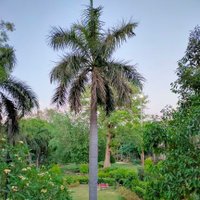 Nizamuddin West (@nizamuddin_west) 's Twitter Profile