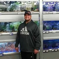 Steven Evjen (@steve_evjen) 's Twitter Profile