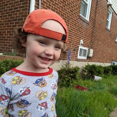 My name is Watson. I am six and a half years old, and I say silly things.