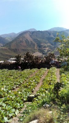 LeidaBriceo2's profile picture. 