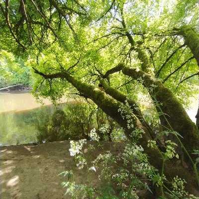 u_topie9's profile picture. il va y avoir du sport... mais moi j'reste tranquille 🤙