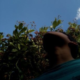 Zepeda22K's profile picture. Developer